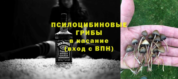 2c-b Лагань