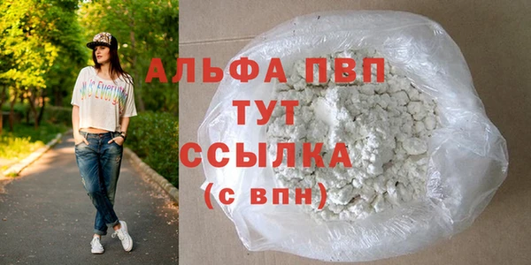 стаф Ладушкин