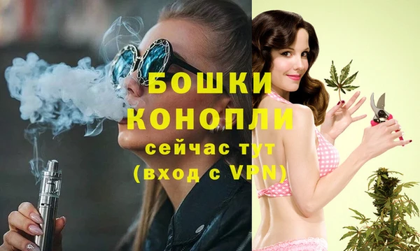стаф Ладушкин