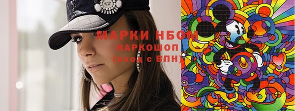 стаф Ладушкин