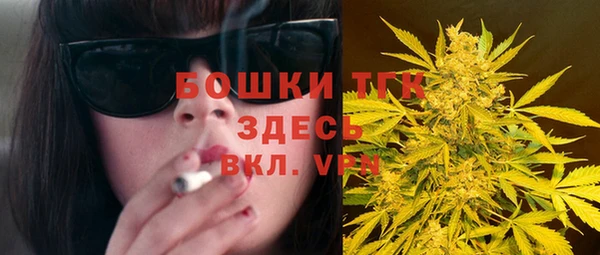 стаф Ладушкин