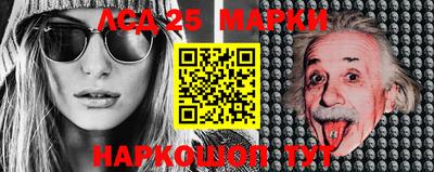 гашик Аргун