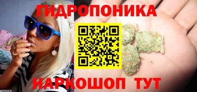 спиды Волжский