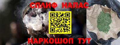 гашик Аргун