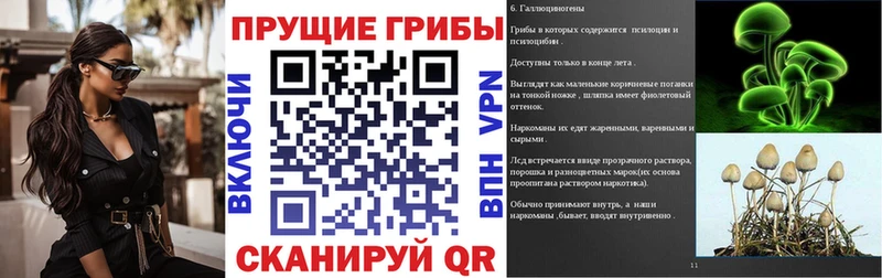 Галлюциногенные грибы мухоморы  Махачкала 