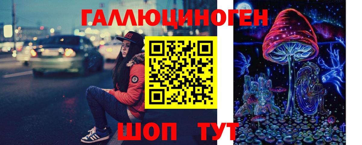Махачкала  Псилоцибиновые грибы MAGIC MUSHROOMS  купить   Вход с VPN 