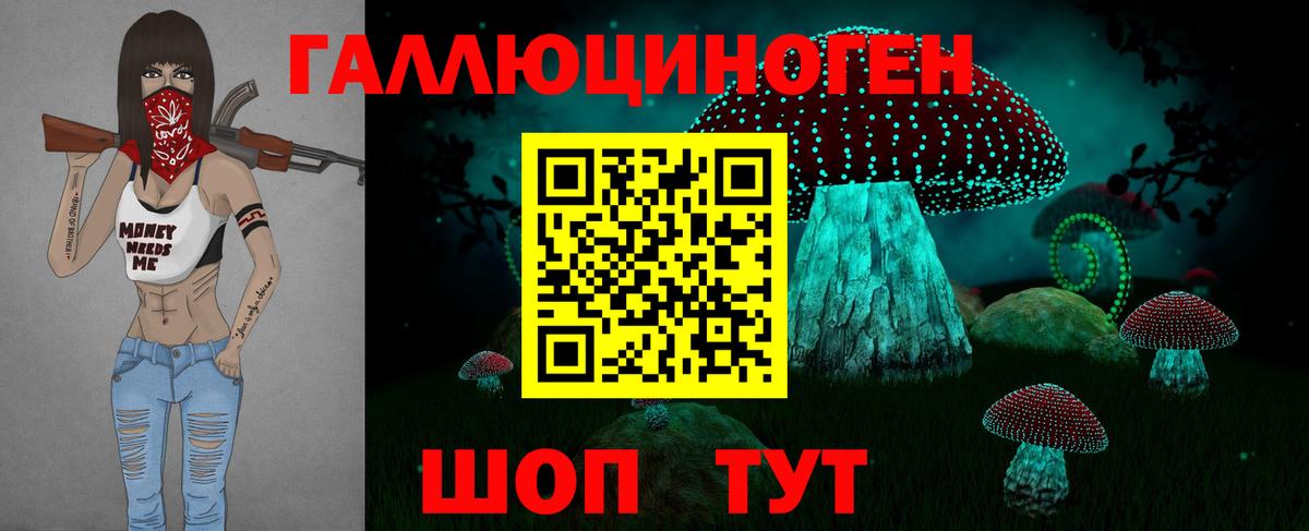 закладка  Махачкала  Псилоцибиновые грибы мицелий 