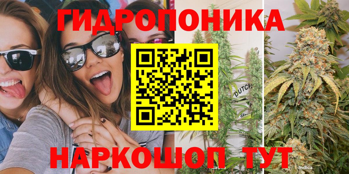 Канабис семена  Канабис Amnesia  Махачкала  Бошки марихуана Ganja 